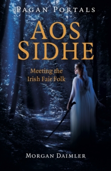Image for Aos Sidhe  : meeting the Irish fair folk