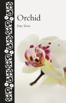 Orchid