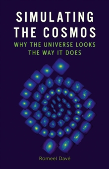 Image for Simulating the cosmos: why the Universe looks the way it does