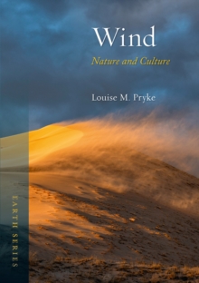 Image for Wind: Nature and Culture
