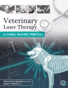 Image for Veterinary laser therapy in small animal practice