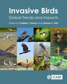 Image for Invasive birds  : global trends and impacts