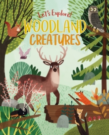 Image for Let's Explore! Woodland Creatures