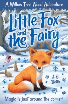 Image for Little Fox and the fairy
