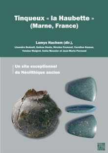 Image for Tinqueux 'la haubette' (Marne, France)  : un site exceptionnel du Nâeolithique ancien