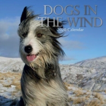 Dogs in the Wind