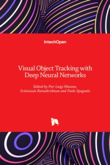 Image for Visual Object Tracking with Deep Neural Networks