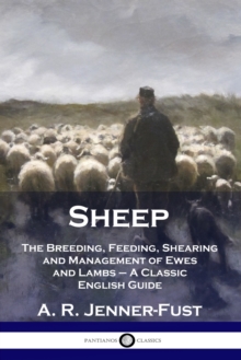 Image for Sheep : The Breeding, Feeding, Shearing and Management of Ewes and Lambs - A Classic English Guide