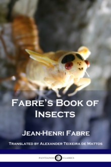 Image for Fabre's Book of Insects