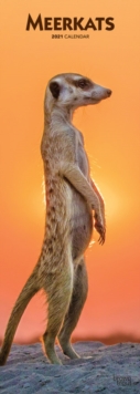 Image for Meerkats 2021 Slimline Btuk Calendar