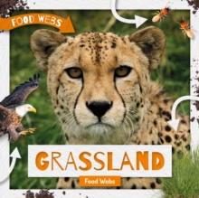 Image for Grassland Food Webs