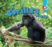 Image for A gorilla's world