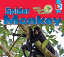 Image for Animals of the Amazon Rainforest: Spider Monkey