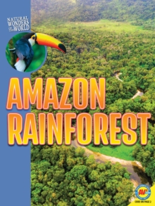 Image for Amazon Rainforest