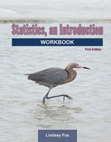 Image for Statistics, An Introduction : Workbook