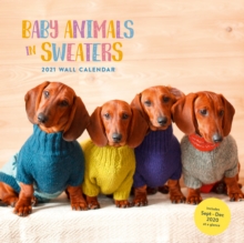 2021 Wall Calendar: Baby Animals in Sweaters