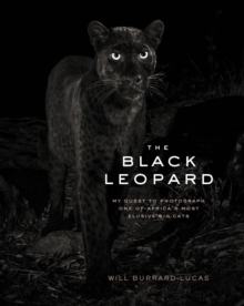 Image for The Black Leopard: My Quest to Photograph One of Africa's Most Elusive Big Cats