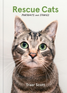Image for Rescue Cats : Portraits and Stories