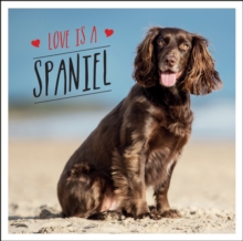 Love is a Spaniel: A Dog-Tastic Celebration of the World’s Most Lovable Breed