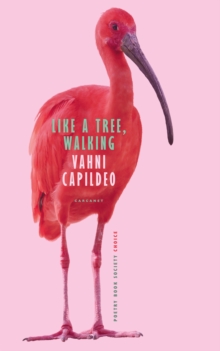 Image for Like a tree walking