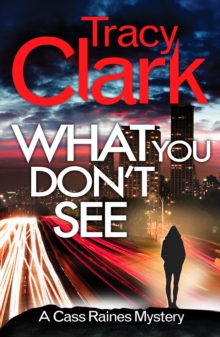 What You Don’t See: A gripping private investigator series