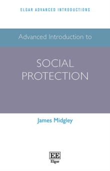 Image for Advanced introduction to social protection
