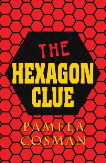 Image for The Hexagon Clue