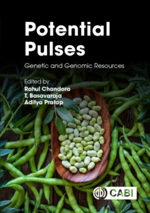 Image for Potential Pulses