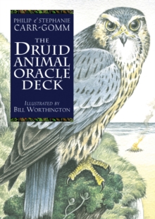 Image for The Druid Animal Deck