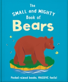 Image for The small and mighty book of bears
