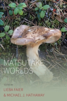 Image for Matsutake Worlds