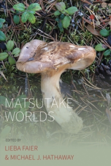 Image for Matsutake Worlds