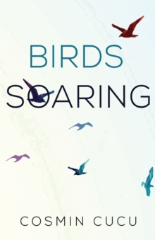 Birds Soaring