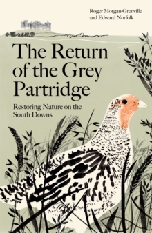 Image for The return of the grey partridge  : restoring nature on the South Downs