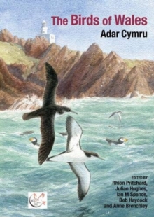 Image for The Birds of Wales