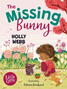 Image for The Missing Bunny