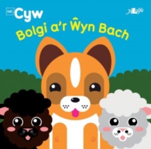 Image for Cyfres Cyw: Bolgi a'r Wyn Bach