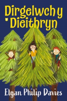 Image for Dirgelwch y Dieithryn