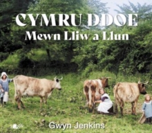 Image for Cymru ddoe mewn lliw a llun