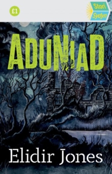 Image for Stori Sydyn: Aduniad