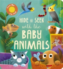 Image for Hide and Seek with the Baby Animals