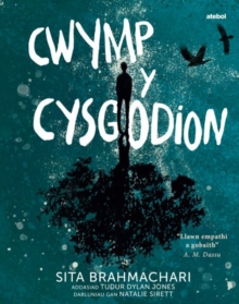 Image for Darllen yn Well: Cwymp y Cysgodion