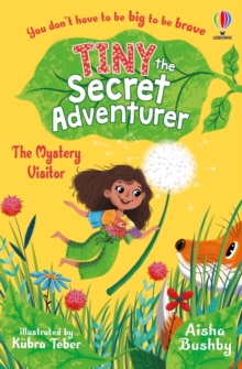 Image for Tiny the Secret Adventurer: The Mystery Visitor