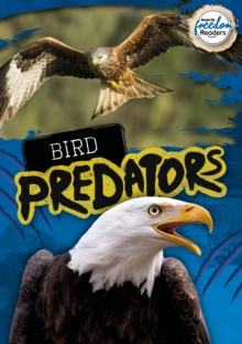 Image for Bird predators
