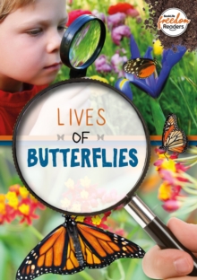 Image for Lives of butterflies