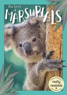 Image for The Lives of Marsupials