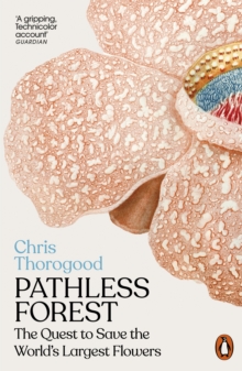 Image for Pathless Forest