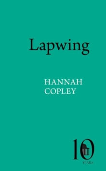 Image for Lapwing