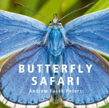Image for Butterfly safari