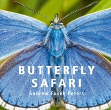Image for Butterfly Safari